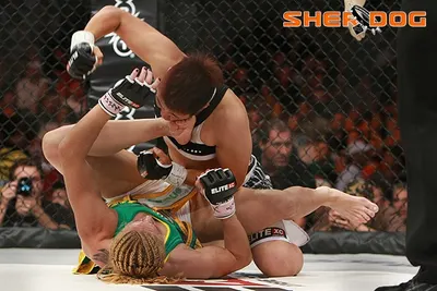 Cris Cyborg — Füße Foto 17